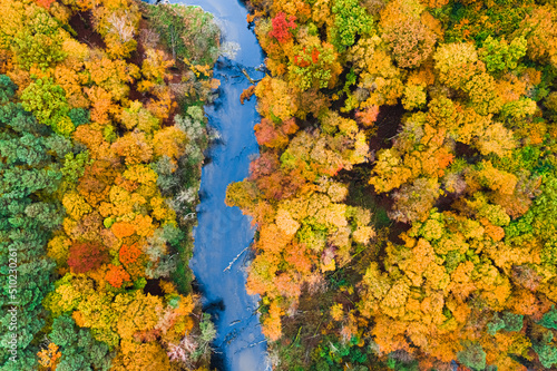 Top down view of river and colorful forest in Poland