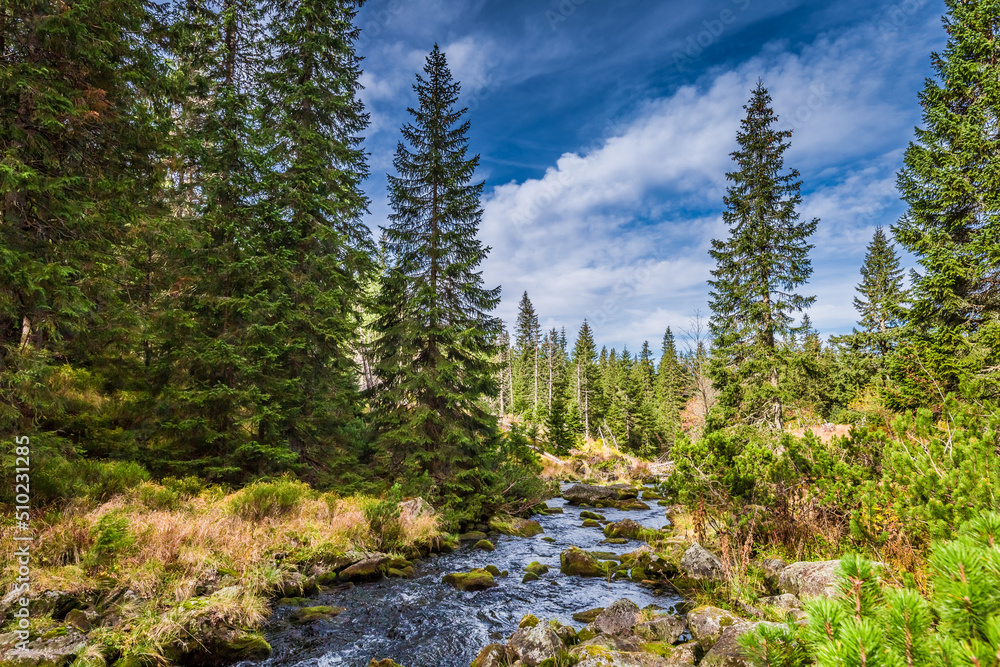 River in the Tatra Mountains in autumn. Wildlife in Poland. River in the Tatra Mountains in autumn. Wildlife in Poland.