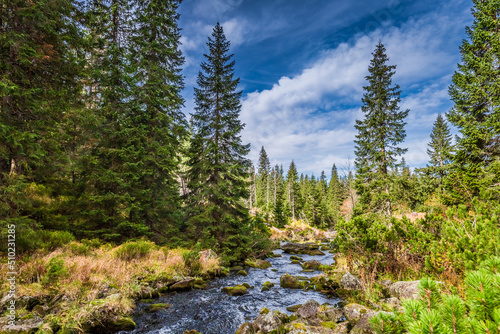 River in the Tatra Mountain...