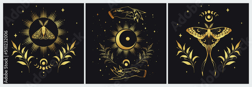 Magic wall art vector set. Decorative symbolic moth, crescent, hands and stars. Gold contour sketches, vector mythology set.