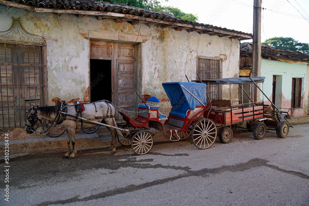 horse carriage in the streets of trinidad
