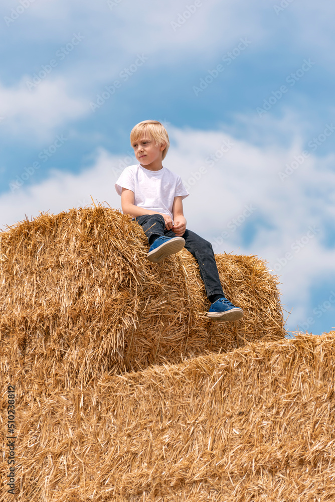 Portrait of fair-haired boy on the haystack against the blue sky and clouds. Summer weekend in the village. Portrait of fair-haired boy on the haystack against the blue sky and clouds. Summer weekend in the village.