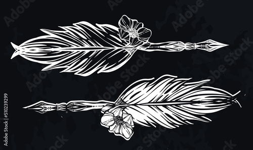 Vector illustration. Feather Quill Pen, write in ink. Handmade, postcard, background chalkboard