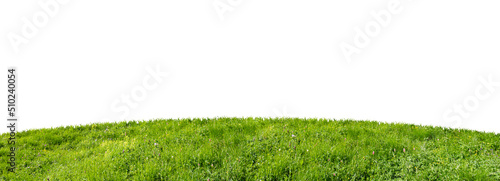 Obraz na płótnie green grass field isolated on white background