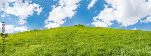 Idyllic landscape with blue sky and fresh green meadows