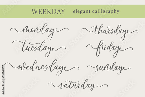 Days of the Week Handwriting Lettering Calligraphy. Sunday, Monday, Tuesday, Wednesday, Thursday, Friday, Saturday.