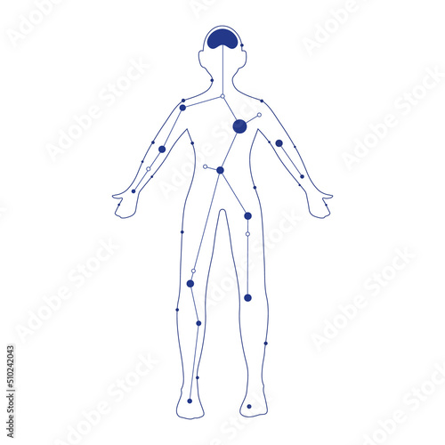 human body medical