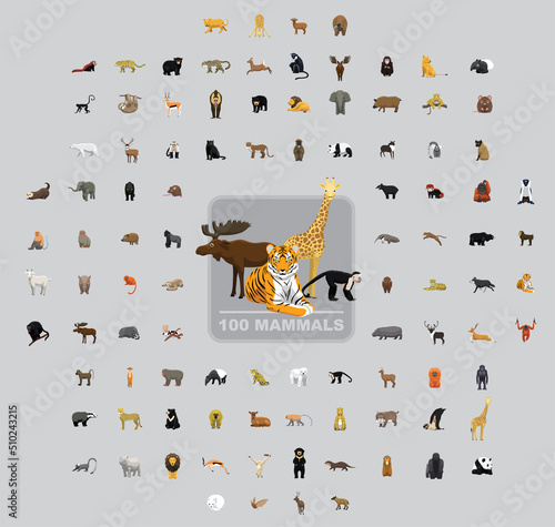 One Hundred Wild Mammals Cartoon Vector Illustration Set