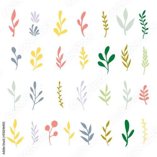 Mix of colored herbs and plants big collection.