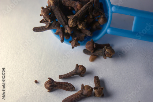 Obraz na płótnie Extreme close up showing pile or collection of rose-apple or clove on white background, also known as laung w salonie