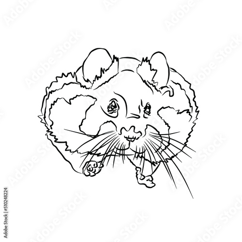 Illustration:Beautiful Hamster stripes, used in general applications