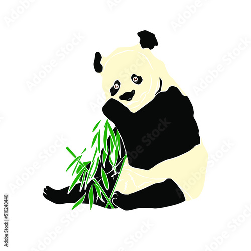 Illustration:Beautiful panda shots, used in general applications
