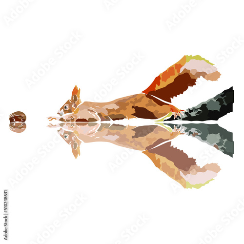 Illustration: Beautiful squirrel, used in general applications