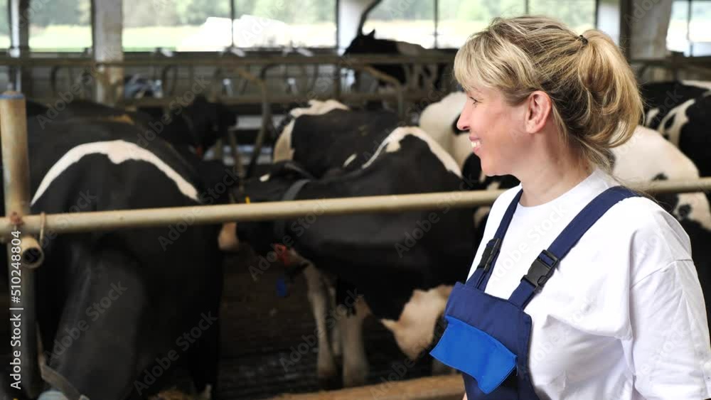Young professional woman enjoy working in cow farm Young professional woman enjoy working in cow farm