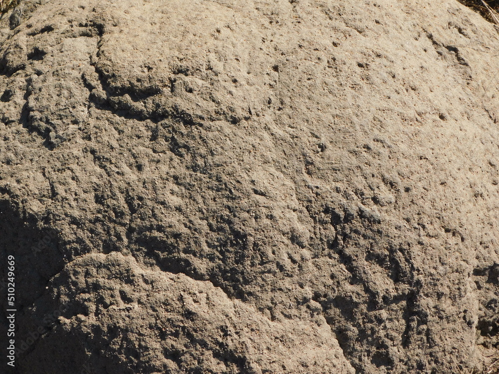 Closeup background photograph of an Anthill glistening in the sun, displaying the sand's texture in the finest detail