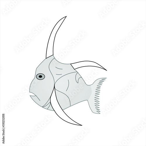 Peces de mar   Pez Lamparosa nombre cientifico Selene  setapinnis 
