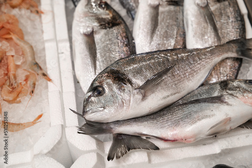 Photography salmon in the fish market