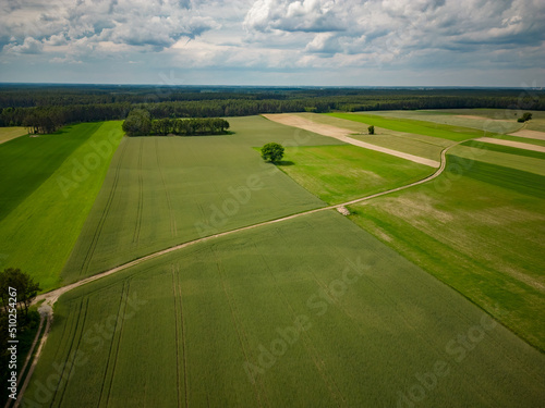 field and sky with clouds © Krzysztof