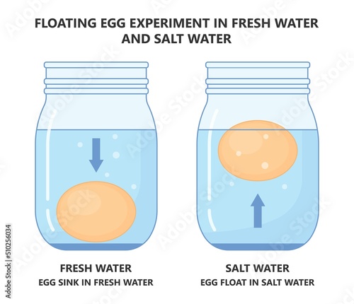 Science experiment with water and egg float test in glass jar Salty sink fresh