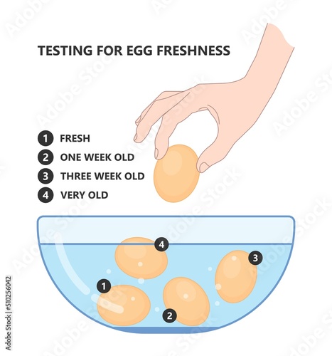 Science experiment with water and egg float test in glass jar Salty sink fresh