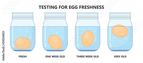 Science experiment with water and egg float test in glass jar Salty sink fresh