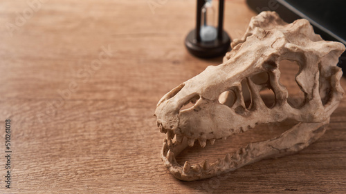 Canvas-taulu concept of Paleontology education background
