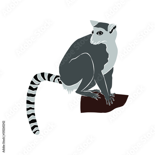 Illustration:Beautiful lemur catta picture, used in general work