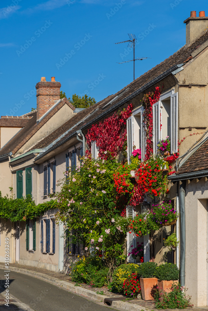 homes covered with flowering vines in a European town