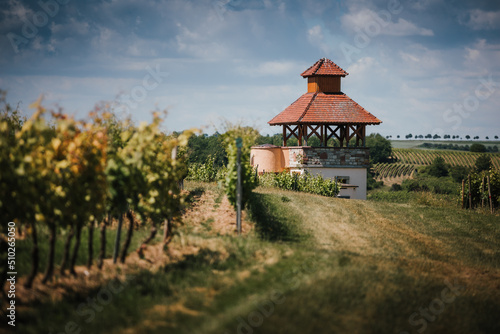 Pertelturm Saulheim Rheinhessen photo