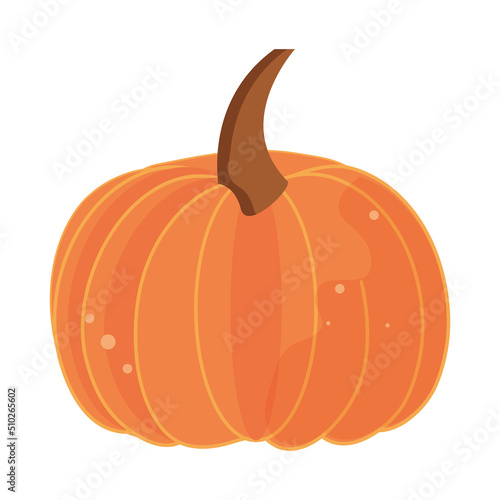 pumpkin icon isolated
