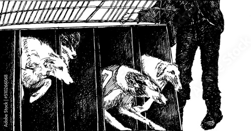 Fototapeta Graphic illustration done in ink