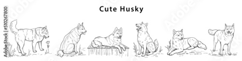 Hand-drawn vector silhouette of husky in different poses for banner poster 