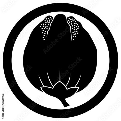 家紋です。中輪に獅子唐辛子といいます。