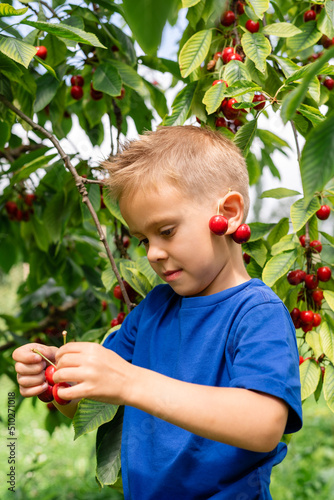 Candid portrait of a boy in the orchard during cherries harvesting.