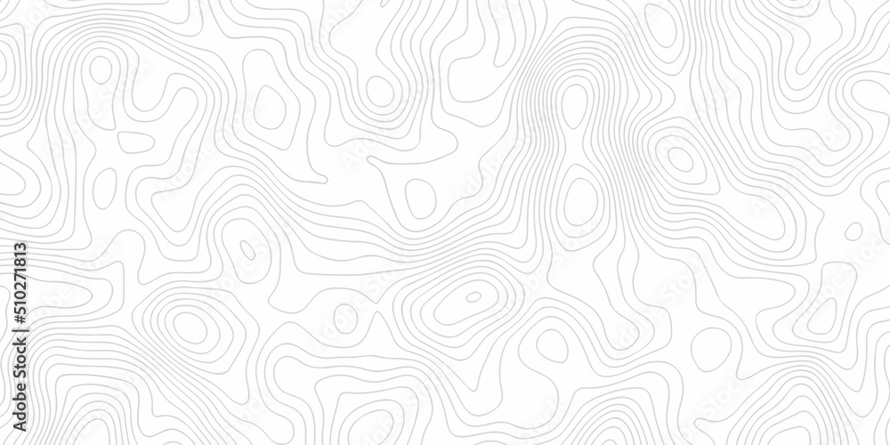 White wave paper curved reliefs abstract background, Abstract topographic contours map on concept of a conditional geography scheme and the terrain path. Dark on black, vector illustration. 