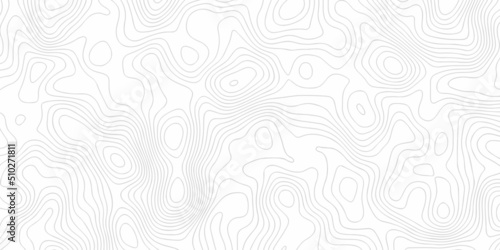White wave paper curved reliefs abstract background, Abstract topographic contours map on concept of a conditional geography scheme and the terrain path. Dark on black, vector illustration. 
