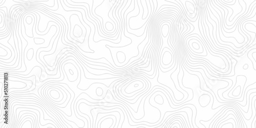 White wave paper curved reliefs abstract background, Abstract topographic contours map on concept of a conditional geography scheme and the terrain path. Dark on black, vector illustration. 