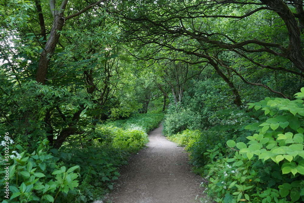 sunset sky edge great view and green space