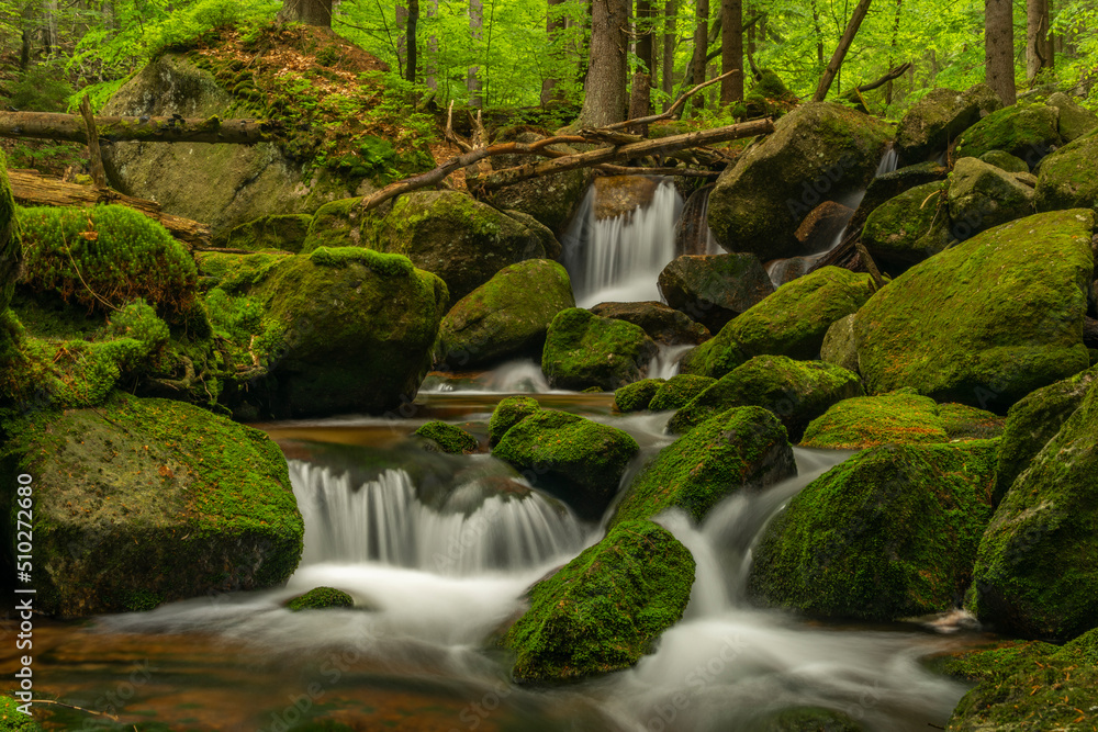 Jedlova creek in Jizerske mountains in spring morning Jedlova creek in Jizerske mountains in spring morning