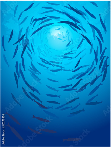 School of fish swimming under water of sea. School barracuda fish swims in underwater. Group of barracuda Fish, vector