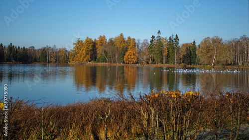 Historical monument. Autumn park, lakes and trees. State Museum-Reserve Gatchina. Leningrad region, Russia.