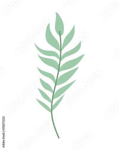 plant branch image