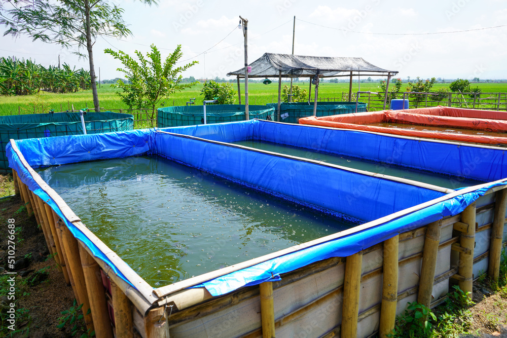 Raising and cultivating fish by using fish ponds made of round or