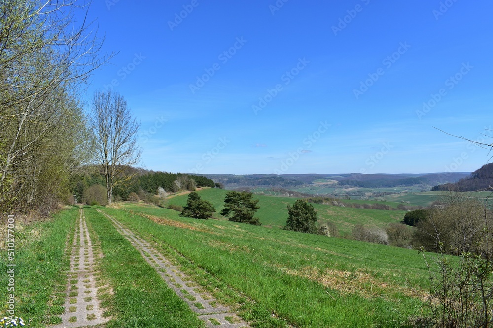 Natur - Felder - Panorama - Werratal