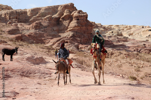 camels and donkeys in the desert of Pitra city of Jordan