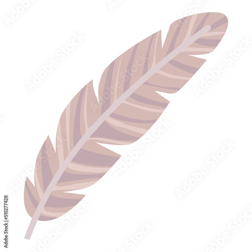 cute feather design