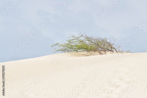 Viana-Wüste auf Boa Vista Kapverdische Inseln