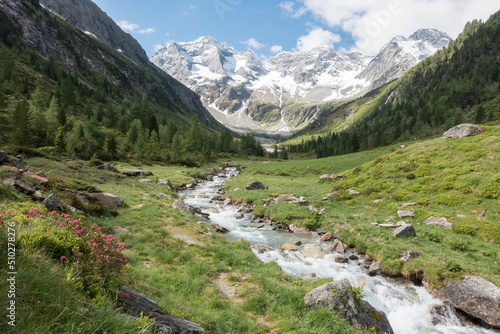 Naturpark mit Wildbach Gletscher und Alpenrosen © by paul
