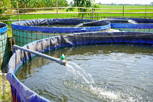 Vászonkép Raising and cultivating fish by using fish ponds made of round or circular tarpa