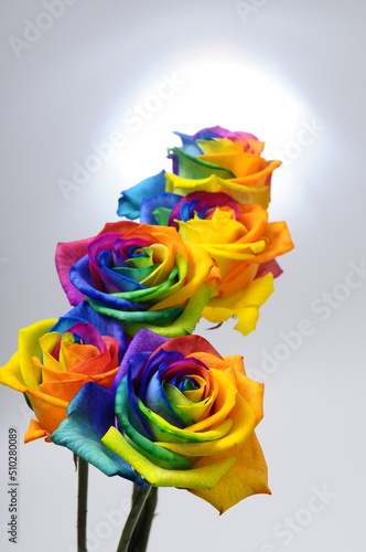 Bouquet of Rainbow rose